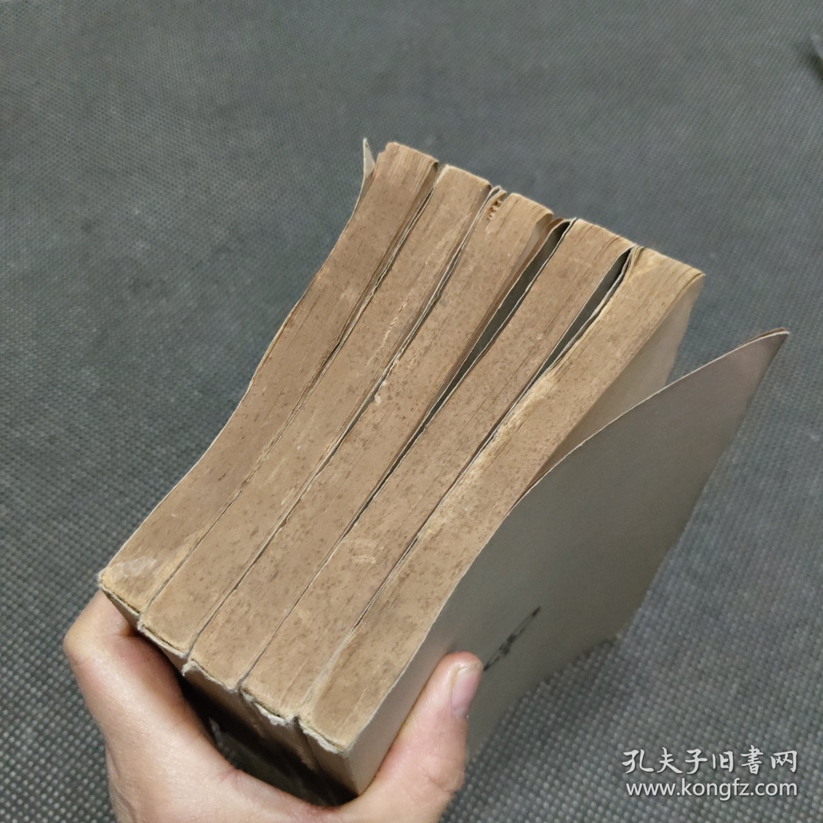 ,$?亞粺甼<?g??袴B?D奝cC%沄姟`啟酼賉惫q壻?s?萋(?册9的简单介绍