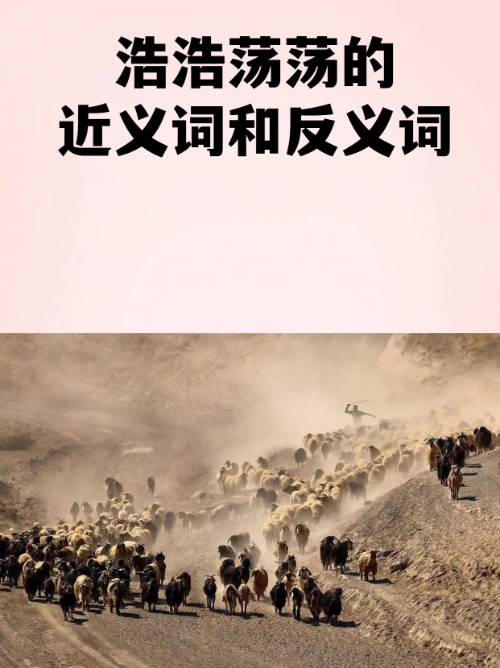 开云-2鶄&amp;;.b|)愤的简单介绍
